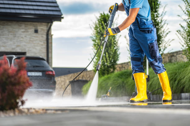 Animal Enclosure Cleaning in Williamsburg, PA